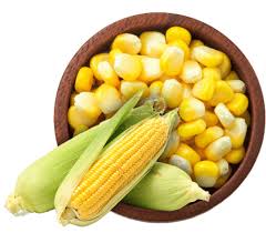 Yellow Maize